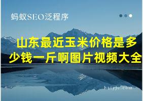 山东最近玉米价格是多少钱一斤啊图片视频大全