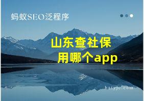 山东查社保用哪个app