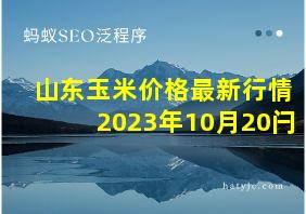 山东玉米价格最新行情2023年10月20闩