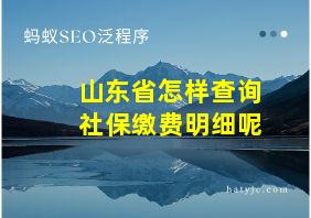 山东省怎样查询社保缴费明细呢