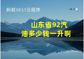 山东省92汽油多少钱一升啊