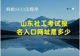 山东社工考试报名入口网址是多少