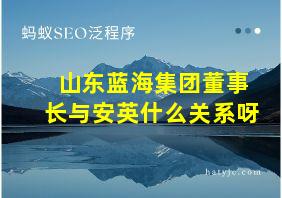 山东蓝海集团董事长与安英什么关系呀