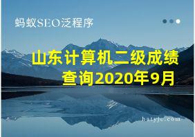 山东计算机二级成绩查询2020年9月