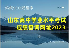 山东高中学业水平考试成绩查询网址2023