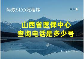 山西省医保中心查询电话是多少号