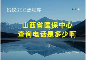 山西省医保中心查询电话是多少啊