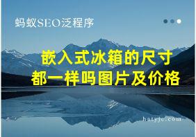 嵌入式冰箱的尺寸都一样吗图片及价格