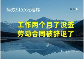 工作两个月了没签劳动合同被辞退了