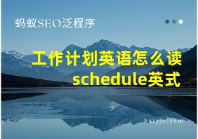 工作计划英语怎么读schedule英式