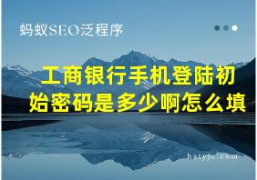 工商银行手机登陆初始密码是多少啊怎么填