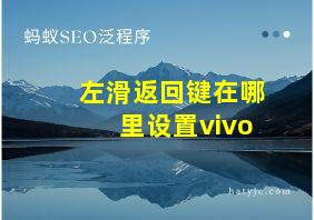 左滑返回键在哪里设置vivo