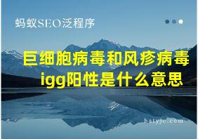 巨细胞病毒和风疹病毒igg阳性是什么意思