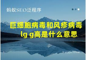 巨细胞病毒和风疹病毒lg g高是什么意思