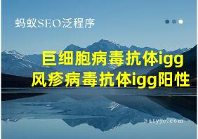 巨细胞病毒抗体igg风疹病毒抗体igg阳性