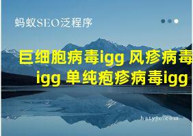 巨细胞病毒igg 风疹病毒igg 单纯疱疹病毒igg