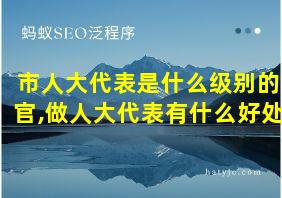 市人大代表是什么级别的官,做人大代表有什么好处