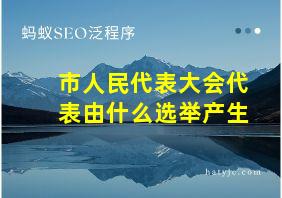 市人民代表大会代表由什么选举产生