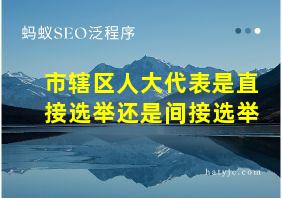 市辖区人大代表是直接选举还是间接选举