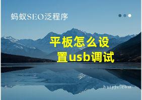 平板怎么设置usb调试