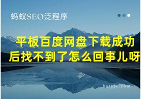 平板百度网盘下载成功后找不到了怎么回事儿呀