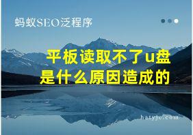 平板读取不了u盘是什么原因造成的