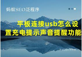 平板连接usb怎么设置充电提示声音提醒功能