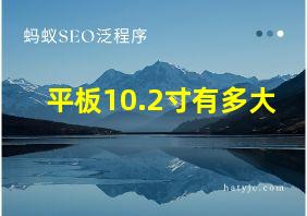 平板10.2寸有多大