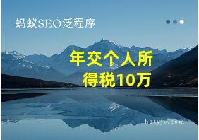 年交个人所得税10万