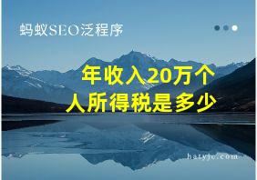 年收入20万个人所得税是多少