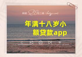 年满十八岁小额贷款app