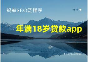 年满18岁贷款app