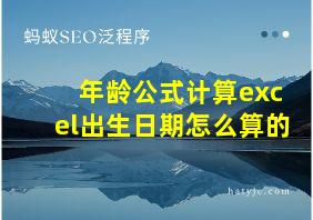 年龄公式计算excel出生日期怎么算的