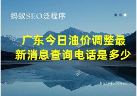 广东今日油价调整最新消息查询电话是多少