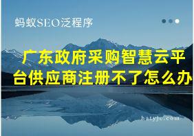 广东政府采购智慧云平台供应商注册不了怎么办