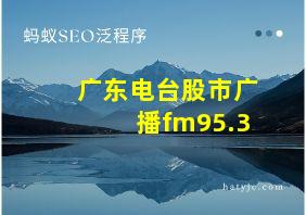 广东电台股市广播fm95.3