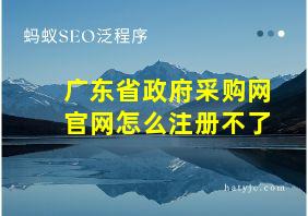 广东省政府采购网官网怎么注册不了