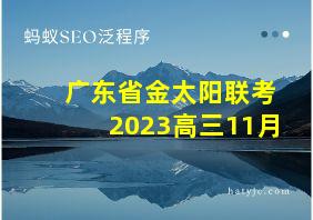 广东省金太阳联考2023高三11月