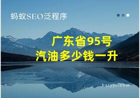 广东省95号汽油多少钱一升