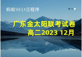 广东金太阳联考试卷高二2023 12月