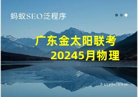 广东金太阳联考20245月物理