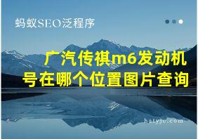 广汽传祺m6发动机号在哪个位置图片查询