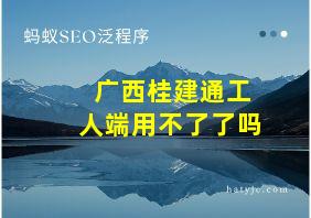 广西桂建通工人端用不了了吗