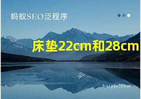 床垫22cm和28cm