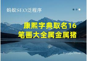 康熙字典取名16笔画大全属金属猪