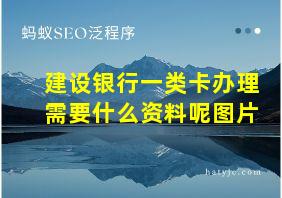 建设银行一类卡办理需要什么资料呢图片