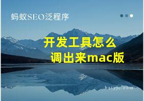 开发工具怎么调出来mac版