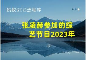 张凌赫参加的综艺节目2023年