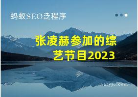 张凌赫参加的综艺节目2023