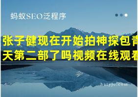 张子健现在开始拍神探包青天第二部了吗视频在线观看